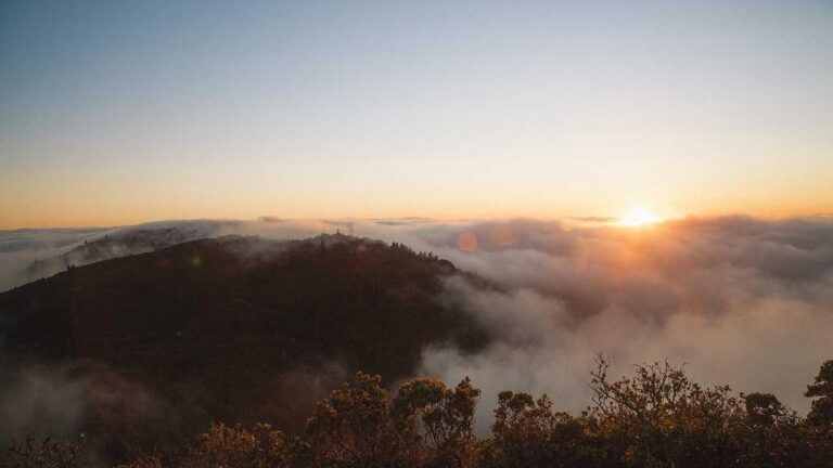 How Do I Troubleshoot Issues With 11Xplay Login Pro?